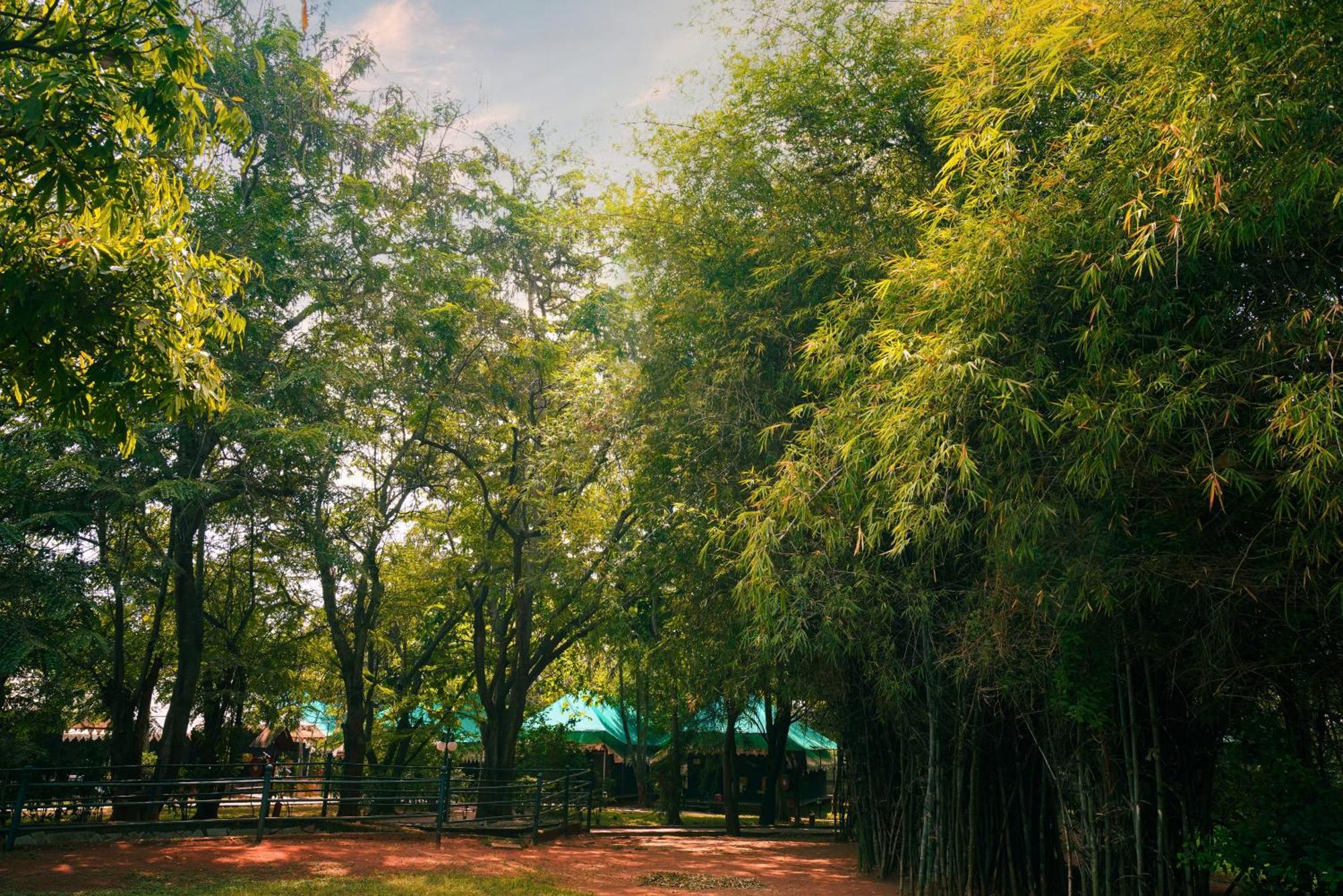 Olde Bangalore Resort And Wellness Center Devanahalli Dış mekan fotoğraf